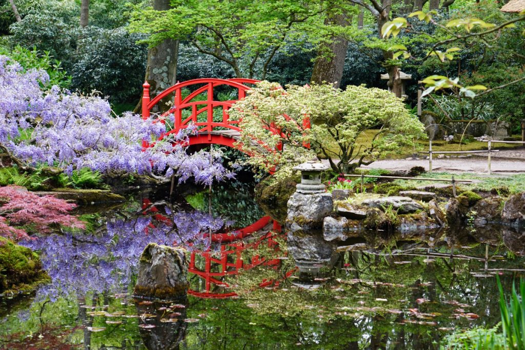 Aktivita – Prechádzka „japonskou záhradou“ – relax duše